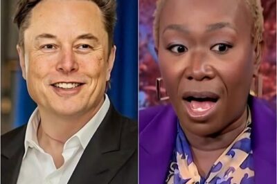 Elon Musk confirms he will spend a massive amount to acquire MSNBC, vows to fire Joy Reid to “end the toxicity.”