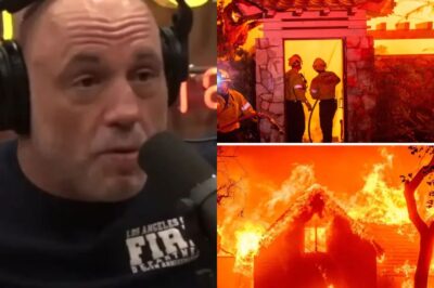 🚨 Incendios devastadores en Los Ángeles: Joe Rogan rompe el silencio 🔥 | “Les dije que esto pasaría” 🌍 ¡VIDEO impactante!