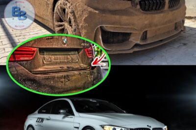 Cleaning the dirtiest BMW 4: Deep exterior details after 20 years of sleeping in the ground – surprising discovery. Luxury car class…