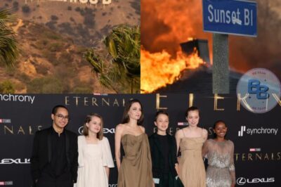 Major Fire in the U.S. Reportedly Includes Angelina Jolie’s Home: Where Will Her Children Stay?