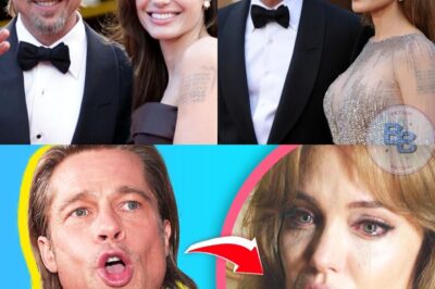 The Untold Truth Of Angelina Jolie And Brad Pitt Relationship Revealed