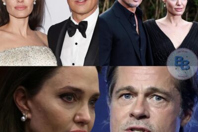 Angelina Jolie Claims Brad Pitt Abused Her … Pre-2016 Plane Incident