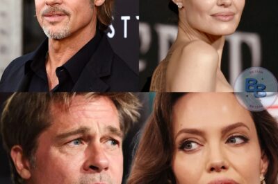 Brad Pitt & Angelina Jolie Divorce May Be Wrapping Up … Major Step Takes Place