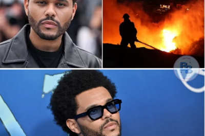 The Weeknd Donates $1 Million to L.A. Fire Relief After Canceling Rose Bowl Concert