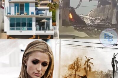 Paris Hilton Devastated as $8.4M Malibu Mansion Burned Down in Wildfire