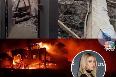 Paris Hilton returns to destroyed Malibu home after watching it burn down on live TV