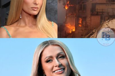 Paris Hilton has unexpectedly become the California fires’ heroic cat woman