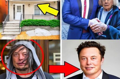 96-Year-Old Woman Was Forced to Sell Her House to Agents – Then Elon Musk Came in and Did This Thing That Will Make You Cry