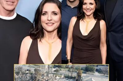 Julia Louis-Dreyfus’ home worth $15M is reduced to ruins in horrific Pacific Palisades blaze