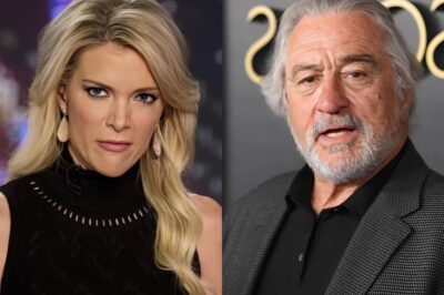 H0T NEWS: Megyn Kelly Calls Robert De Niro “Idiot” On The View