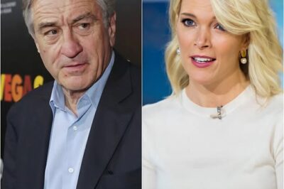 BREAKING: Megyn Kelly Blasts Robert De Niro, Calls Him “Extremely Stupid” in Explosive Hollywood Feud