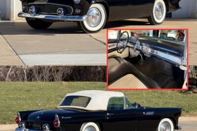 Ford Thunderbird : “Explore the return of a legendary automotive icon – the Ford Thunderbird: When luxury meets heritage, can this car redefine style and power on the modern street?”