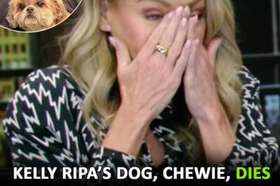 Kelly made the “toughest” decision after Chewie started eating less and less for weeks.
