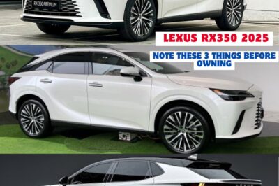 🌟 Weaknesses of Lexus RX350 2025 – The truth that few people expect