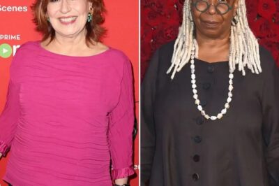 Shocking Decision: ABC Ends Contracts of Joy Behar and Whoopi Goldberg Over ‘Toxic’ Image – Was It the Right Call?