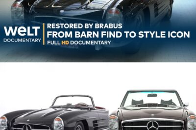 UNKNOWN BRABUS WORKSHOP: From barn find to style icon – 280 SL Pagoda is restored | WELT Documentary