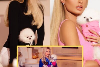 Paris Hilton Expands Pet Grooming Line to Offer Food Products So Animals Get ‘the Ultimate Luxury Experience’