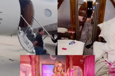 Paris Hilton Shares Glimpse Inside Her Private Jet with Pink Blankets and Simple Life Cake: ‘#SlivAir’