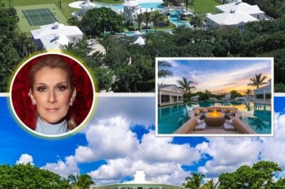 Inside Celine Dion’s Former Florida Mansion with Private Water Park