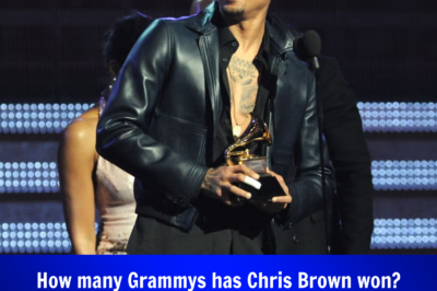 How many Grammys has Chris Brown won? Singer wins “Best R&B Performance” at 67th Grammy awards