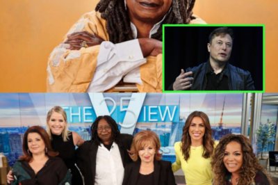 Elon Musk sparked outrage by calling for a boycott of *The View*, dismissing it as “a gathering spot for uninformed women.” In response, the entire cast hit back with fierce condemnation.