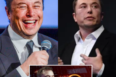 Elon Musk Sends Cryptocurrency Surge 4,800% After Just One Small Change on X, The Secret Behind the Boom!