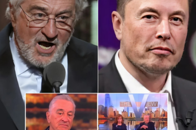 Robert De Niro stands up for Joy Behar and calls out Elon Musk on The View: “He does not deserve people’s trust”.