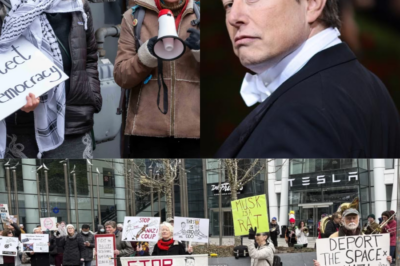 A Tesla protester speaks out, saying “I have to protect myself,” causing public outrage as it is suspected that Elon Musk may be targeting them, impacting their life.