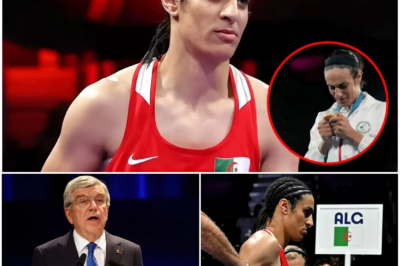 Shocking Boxing News: Imane Khelif banned for life after WBO recognizes him as a man, stripping him of all his medals and $25 million in prize money.