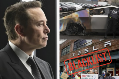 A series of Tesla assets are listed for the level of damage when attacked to protest billionaire Elon Musk!