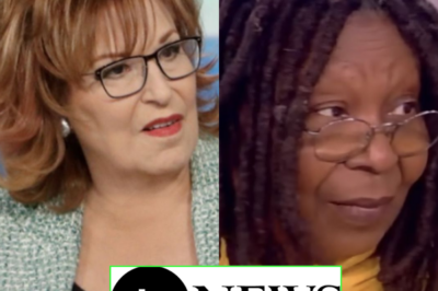 Shocking decision: ABC decides to terminate contracts with Joy Behar and Whoopi Goldberg due to ‘toxic’ image, loss of millions of dollars! The face nominated for replacement is sh0cking?