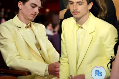 Snubbed? With 8 Oscar® nominations, Bob Dylan film starring Timothée Chalamet leaves without a trophy