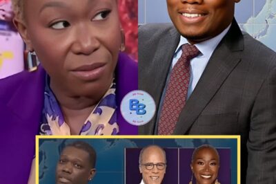 Michael Che from SNL has surprised his fans by claiming to know the true reason why Joy Reid was fired from MSNBC. He described the situation as a clear case of unfairness.
