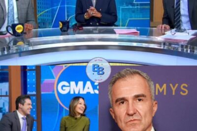 The executives at ABC faced harsh criticism for being labeled as “selfish” once the true motivation behind their choice to terminate extensive amounts of staff simultaneously was revealed.