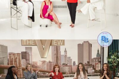 Television Industry in Shock as Iconic Daytime Talk Show ‘The View’ Is Officially Canceled After Decades—Insiders Reveal Behind-the-Scenes Drama, Ratings Collapse, and Controversial Moments That Led to Its Sudden Demise