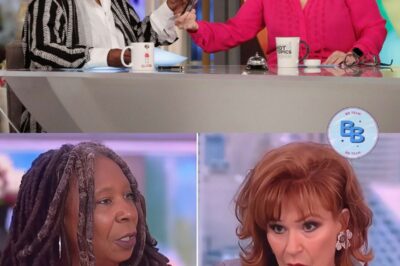 BREAKING NEWS: ABC refuses to renew contracts with Whoopi Goldberg and Joy Behar on The View, citing a desire to move away from “toxic” elements.-A