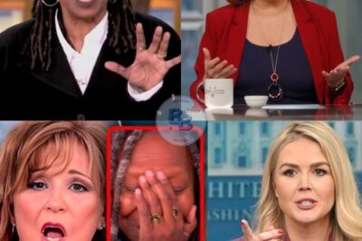 The Hosts of The View Apologize to Karoline Leavitt After Controversial Remarks – What Sparked the Heated Response?