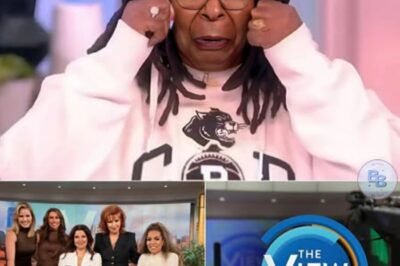 Sh0cking Update: “The View” Canceled! What Led to the Sudden End of This Iconic Talk Show? Fans Are Left Stunned and Searching for Answers!