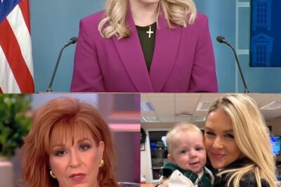 Karoline Leavitt Left Speechless as Joy Behar’s Vicious Attack on The View Explodes, Shocking Reason for Her White House Role Unveiled in Jaw-Dropping Revelation!