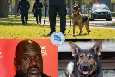 Criminals Target Shaq, Unaware of His K9 Protector