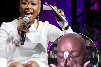 Joy Reid Explodes in First Interview After Brutal MSNBC Firing – Her Shocking Revelation Leaves No Room for Doubt!