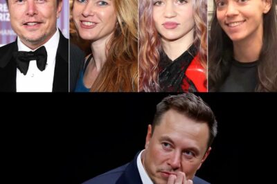 Inside Elon Musk’s Complex Family Tree: Every Woman He Shares Children With and Their Thoughts on Their Unconventional Blended Family