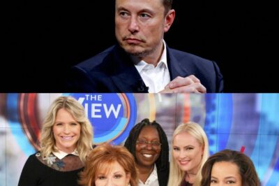 Elon Musk Sparks Controversy by Calling for a Boycott of “The View”—Labeling It “A Gathering of Ignorant Women.” The Hosts’ Fiery Response Will Shock You!