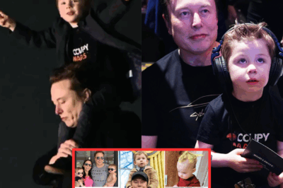 Elon Musk Turns the World From Amazement to Curse: Now a Father of 14, He Vows to Build a ‘Legion’ of Children Before the End of the World-The Tech Giant’s Wild Prophecy Sparks Outrage Over Overpopulation!