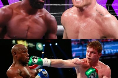 Canelo Alvarez has theory over Floyd Mayweather which Terence Crawford fight will prove: ‘Different now’