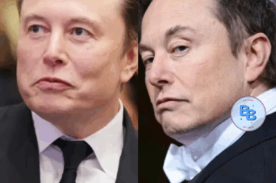 SH0CKING: Once the world’s richest man, Elon Musk is now watching $134,700,000,000 of his wealth vanish — and the bleeding hasn’t stopped
