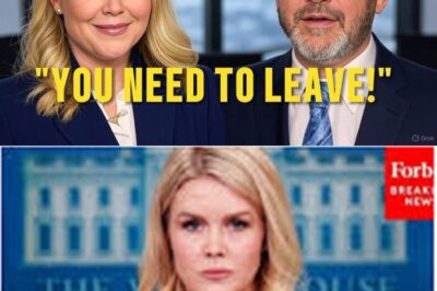 Jimmy Kimmel Crosses the Line on Live TV—Karoline Leavitt’s Fiery Comeback Leaves Him Humiliated as Audience Gasps in Shock