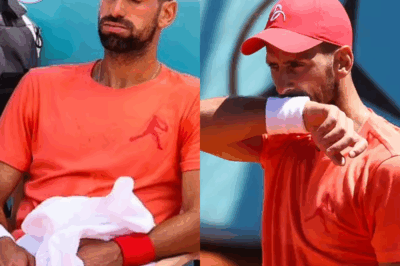 LATEST NEWS: “I will never put him on the court again!” – Andy Murray and Djokovic are at odds, the former tennis player is angry with his student: criticizing his harsh attitude in the press conference, but Djokovic’s answer makes the press explode!