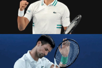Novak Djokovic told he’s won his last Grand Slam and will never catch Roger Federer