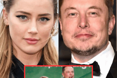 Elon Musk is being accused by a series of evidence proving that he is the father of actress Amber Heard’s child?